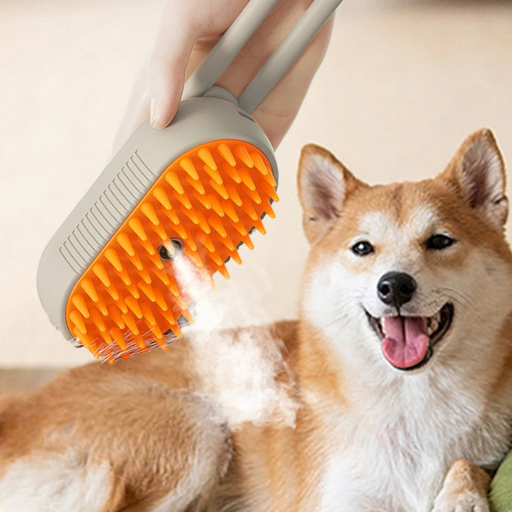 Steam Brush